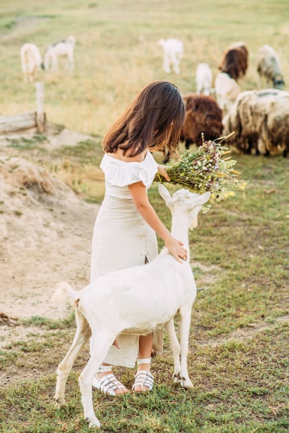 Faith on the Farm: Our YouTube Series